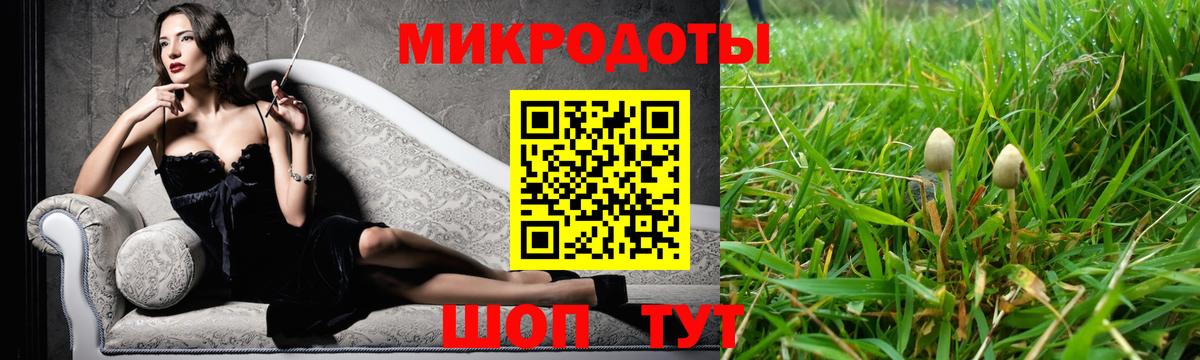 Галлюциногенные грибы GOLDEN TEACHER Мытищи